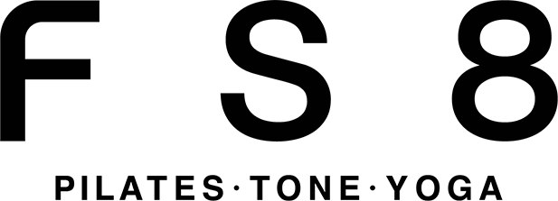 logo fs8